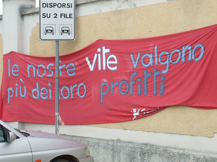 novaceta cercasi